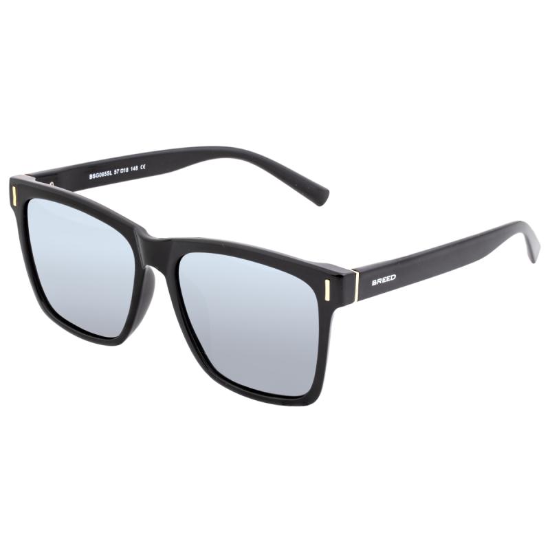 Breed Pictor Polarized Sunglasses