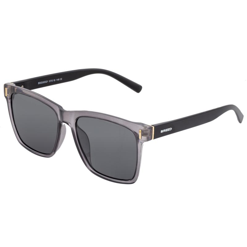 Breed Pictor Polarized Sunglasses