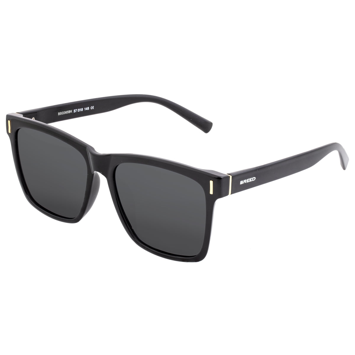 Breed Pictor Polarized Sunglasses - Black/Black - BSG065BK